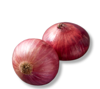 Onion-Medium