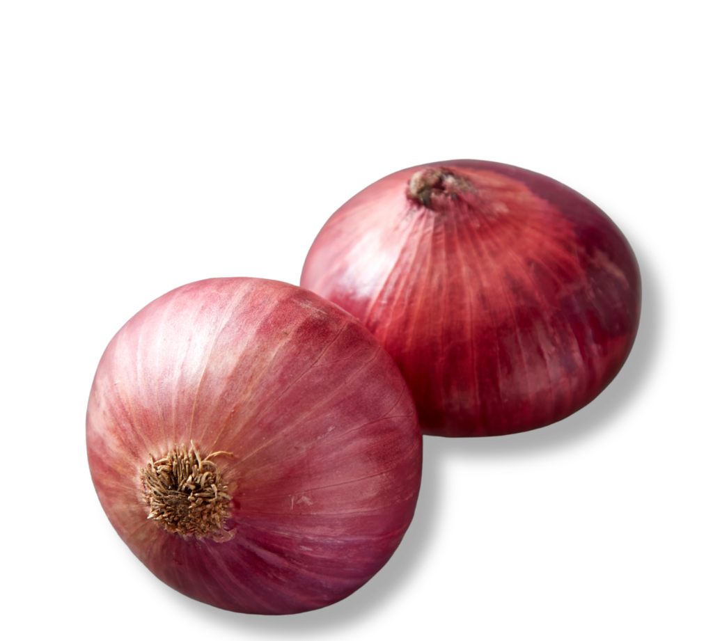 Onion-Medium
