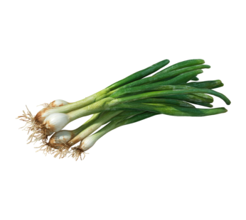 Spring Onion- With roots 1pc (Approx. 100 g)