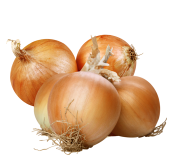 Onion-Yellow