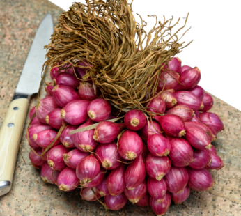 Sambar Onion